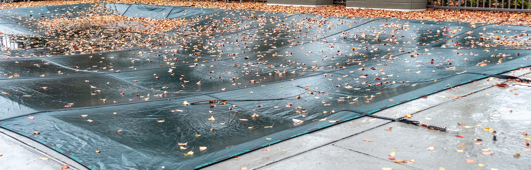 Safety pool covers featured image